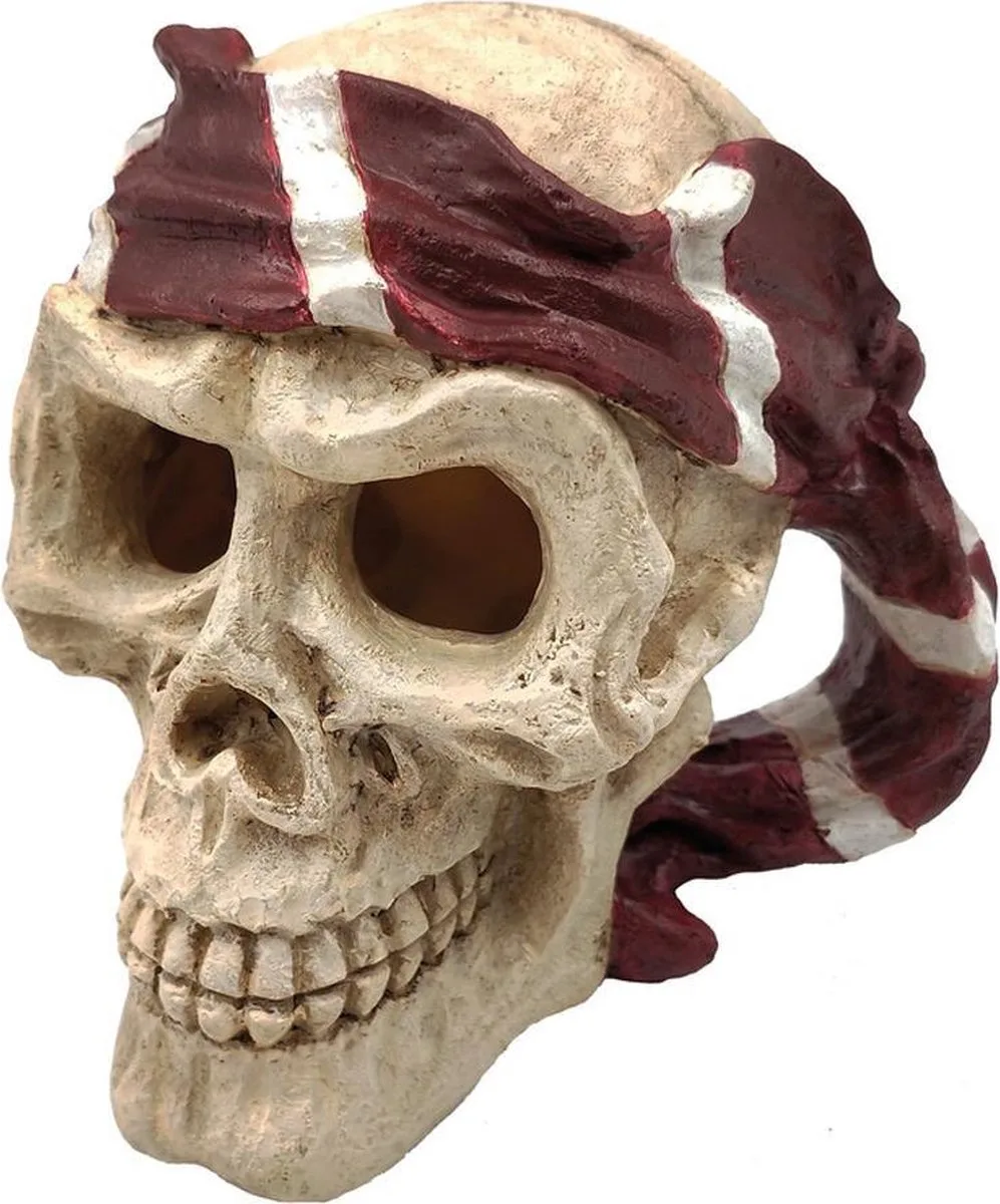 Skull Red Pirate från SuperFish i Blå – produktbild