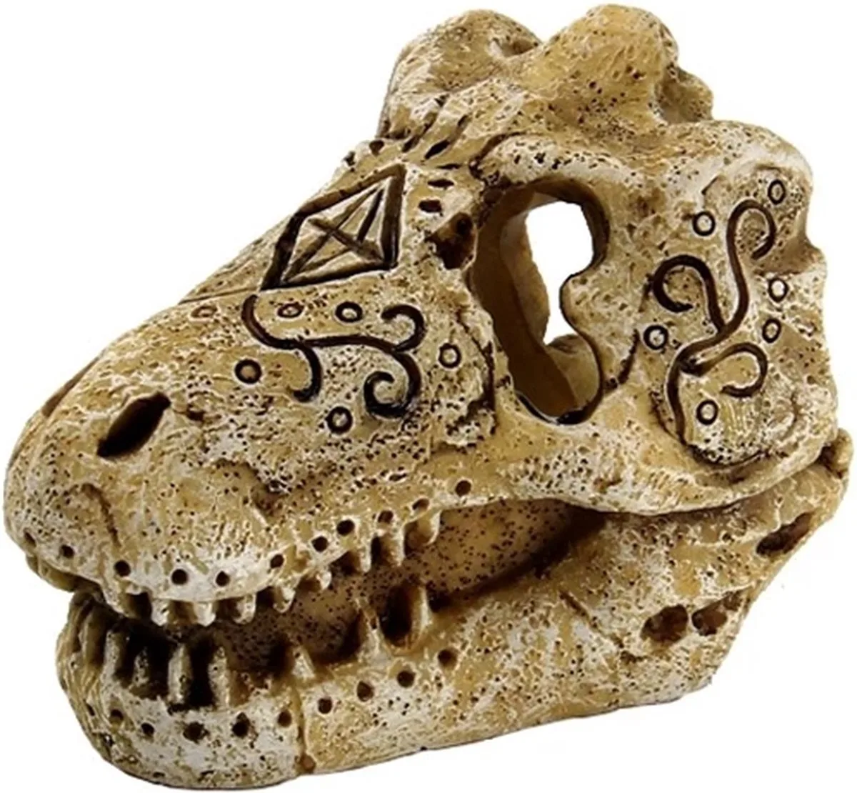 Skull T Rex de SuperFish en Transparent – photo produit