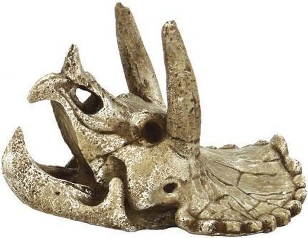Skull Triceratops van SuperFish in Color – productfoto