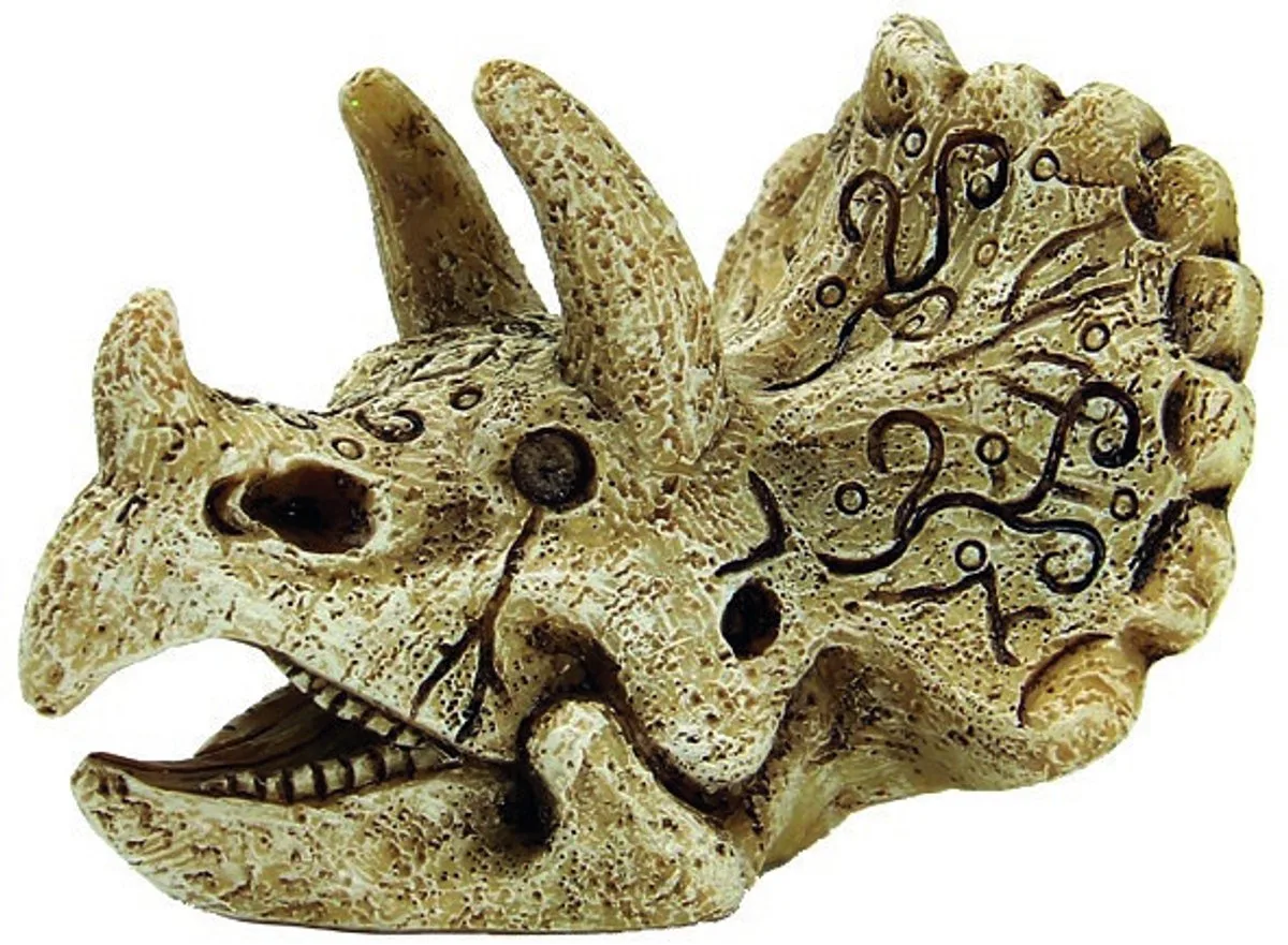 Skull Triceratops by SuperFish in Transparent – product photo