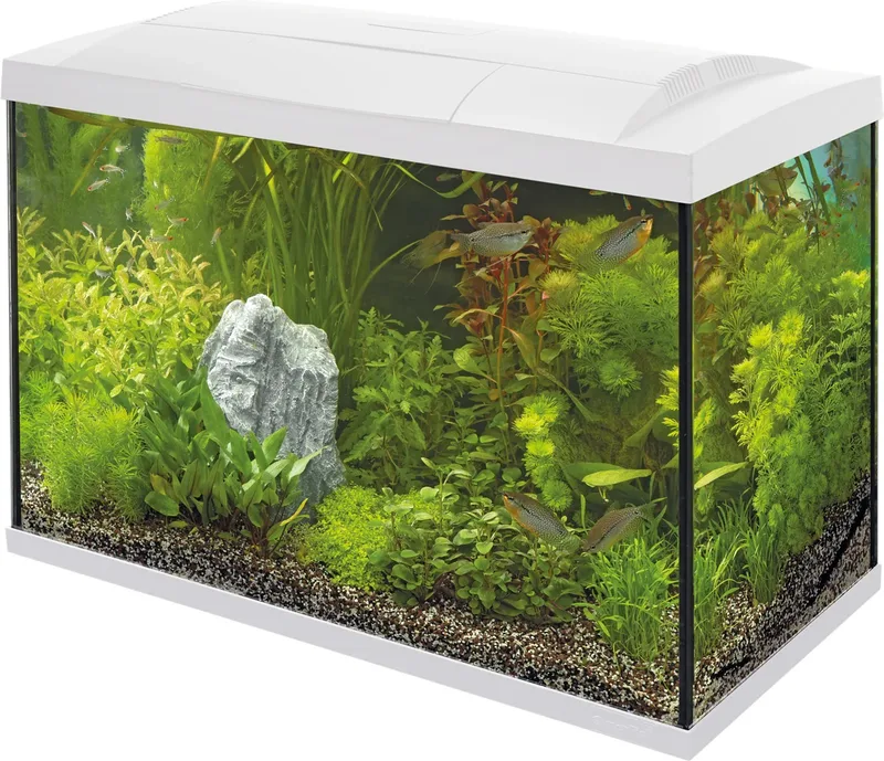 Start 100 Tropical Kit Wit by SuperFish – product photo