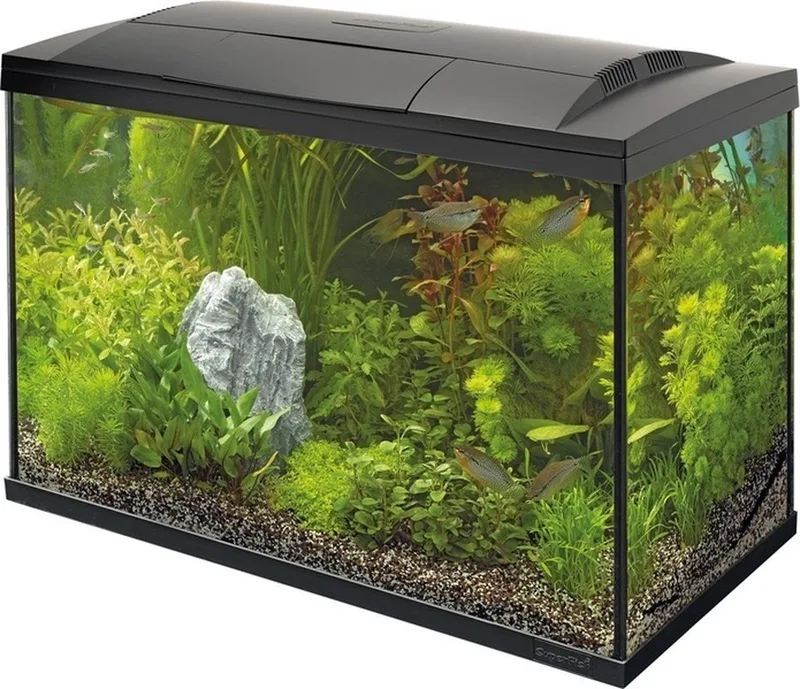 Start 70 Tropical Kit Zwart by SuperFish – product photo