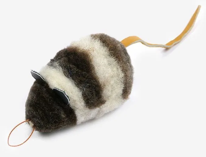 Zebra Muis de Tabby Tijger – photo produit