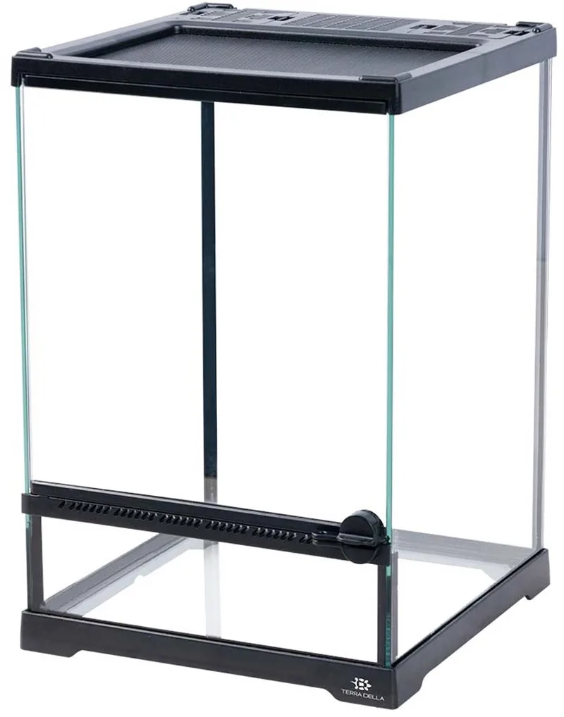 Glazen terrarium 21 x 21 x 30CM met waterdichte bodem en ventilatierooster von Terra Della in Transparent – Produktfoto