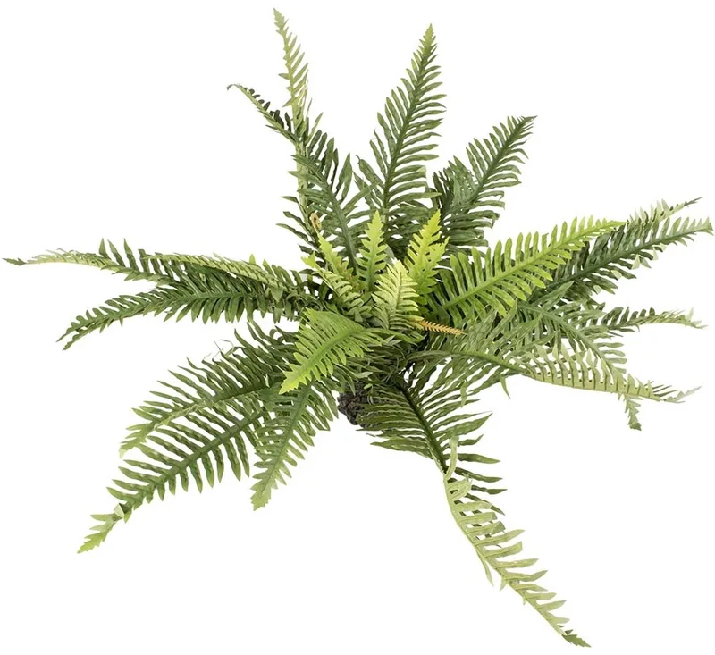 Kunstplant Varen XL - Natuurgetrouwe Terrariumplant voor Reptielen en Amfibieën - Gifvrij - 62 cm by Terra Della in Green – product photo