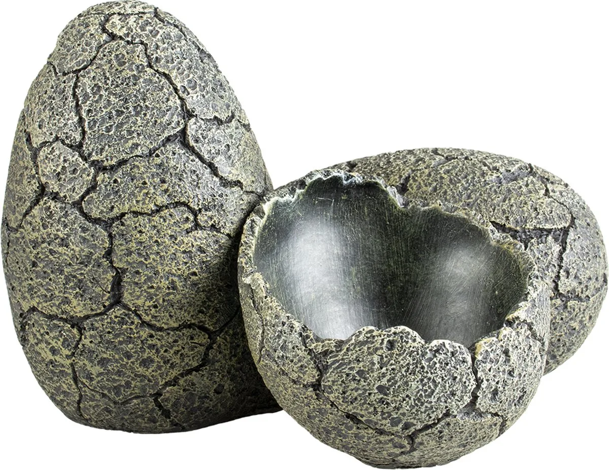 Natuurlijke Decoratie - Reptielen - Eieren L - 18x16x13cm - 1st van Terra Della in <> – productfoto