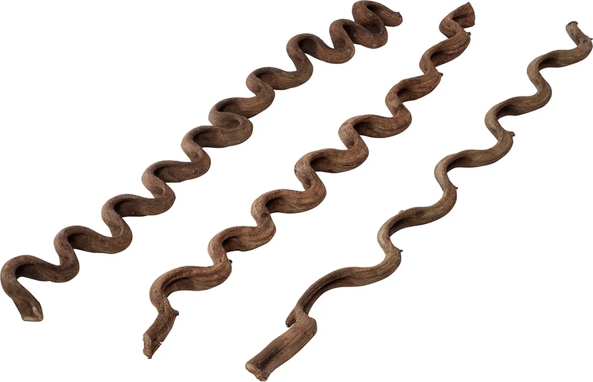 Natuurlijke Decoratie - Reptielen - Lianen Ml - 115cm - 1st de Terra Della en <> – photo produit