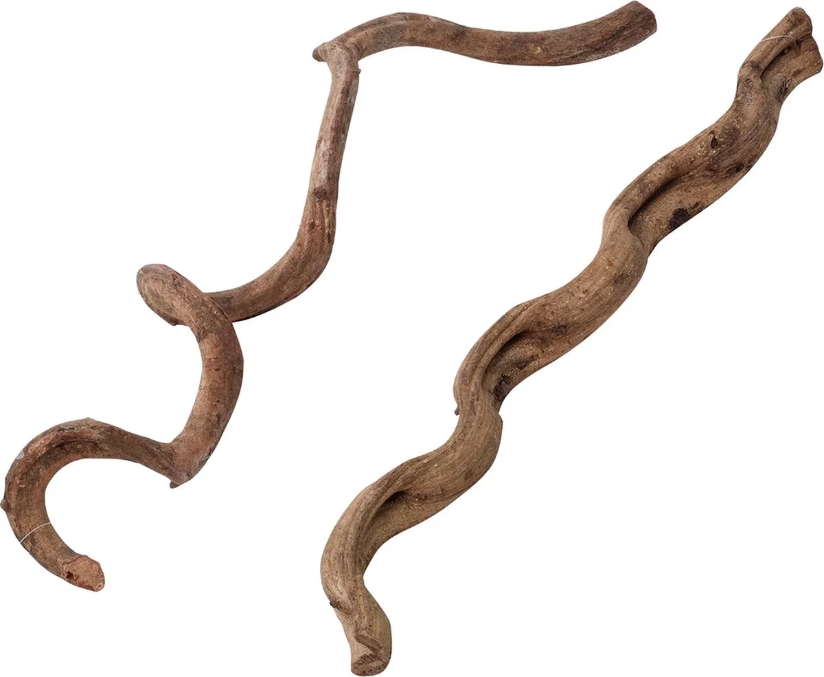 Natuurlijke Decoratie - Reptielen - Lianen Sm - 75cm - 1st de Terra Della en <> – photo produit