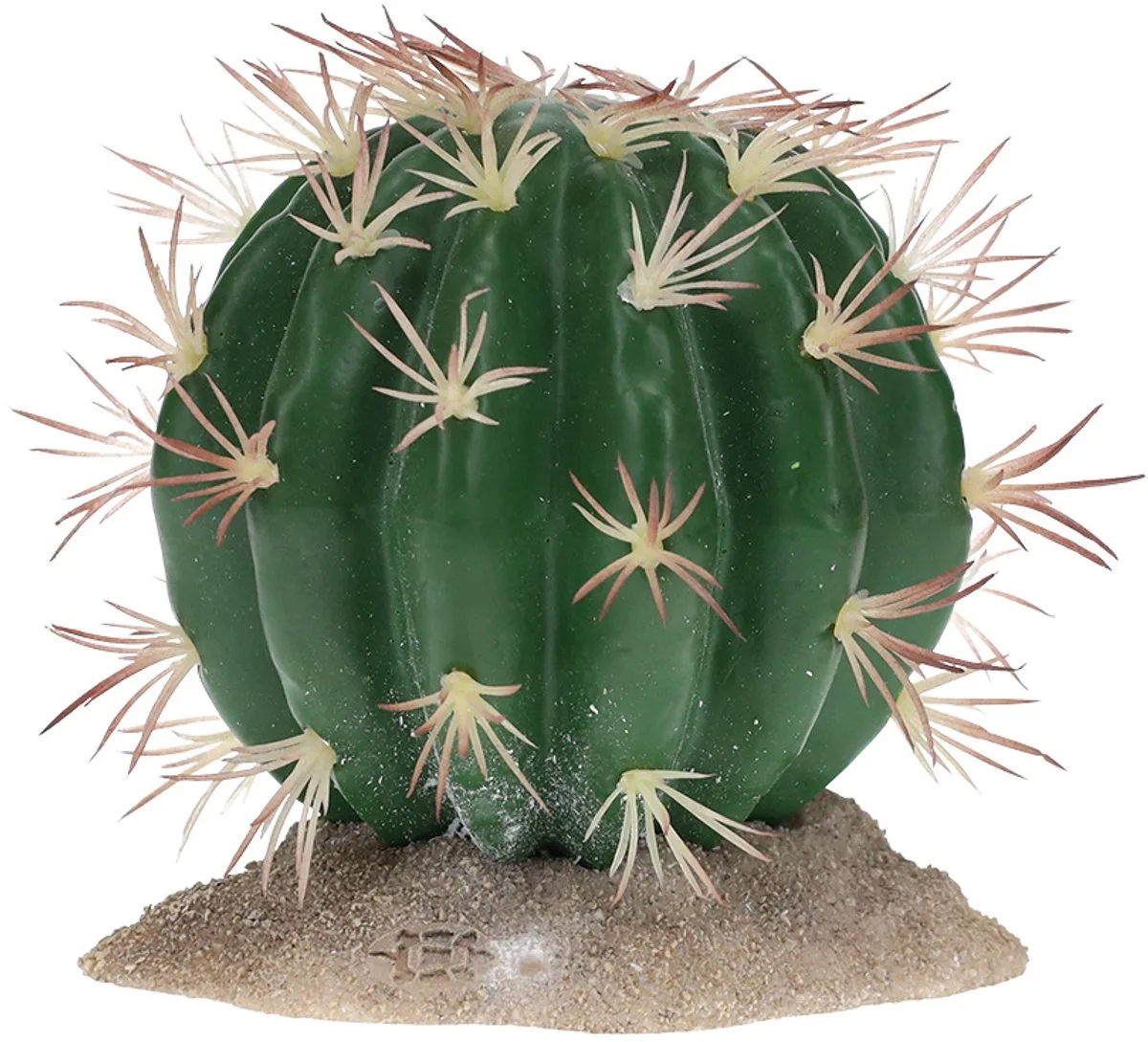 Reptielen - Echinocactus M - 11x10,5x11cm - 162499 de Terra Della en Vert – photo produit