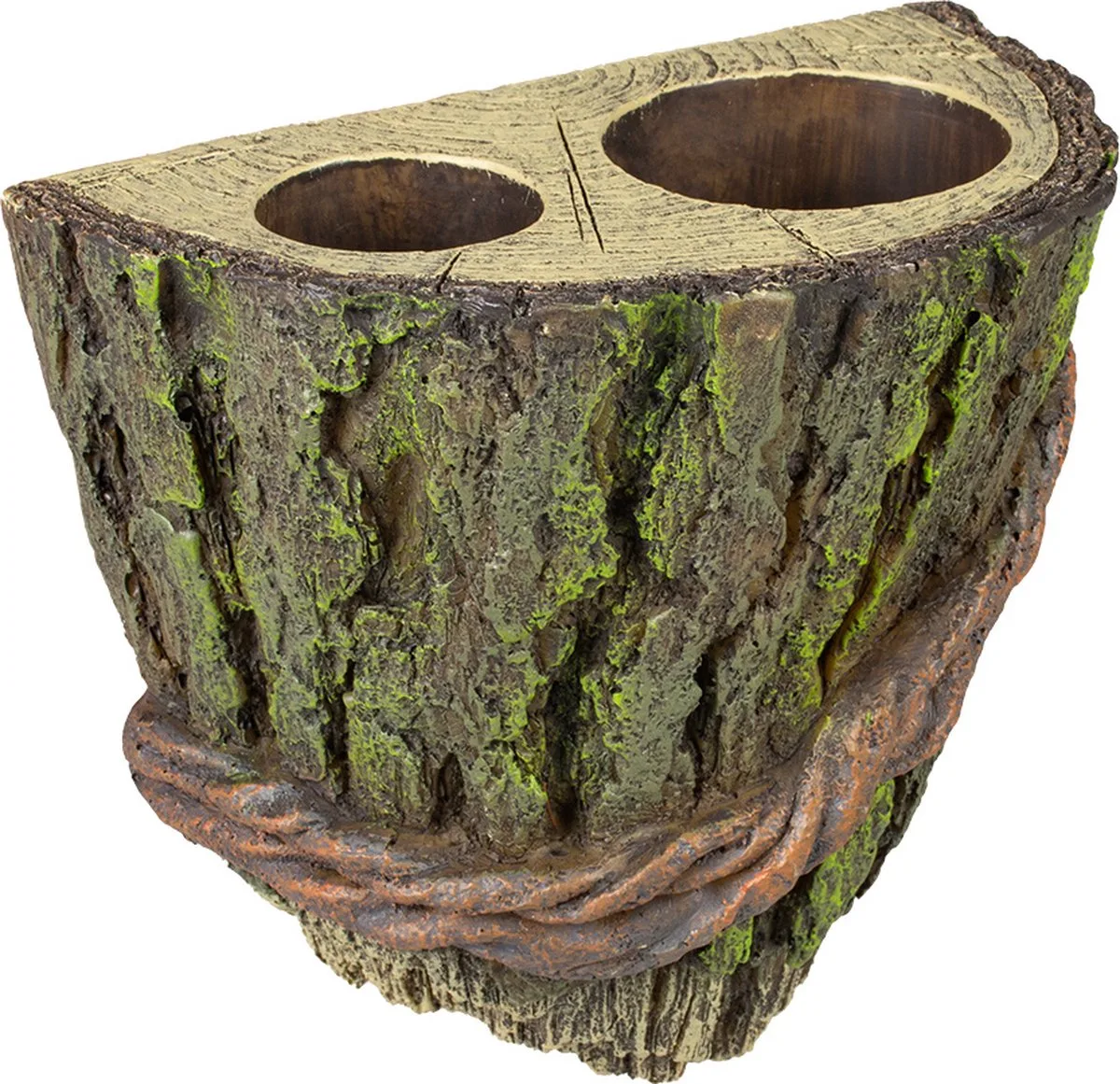 Reptielen - Floating Deco Boom Cup-houder 14x13x8cm - 162475 de Terra Della en Multicolore – photo produit