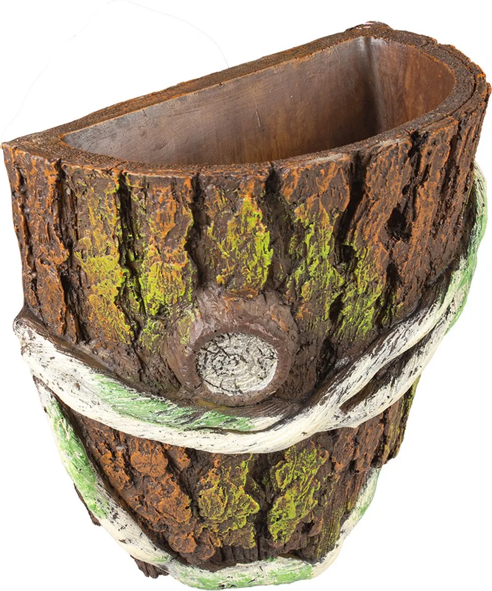 Reptielen - Floating Deco Boom Plantenhouder 1 14,5x13,5x8cm - 162477 de Terra Della en Multicolore – photo produit