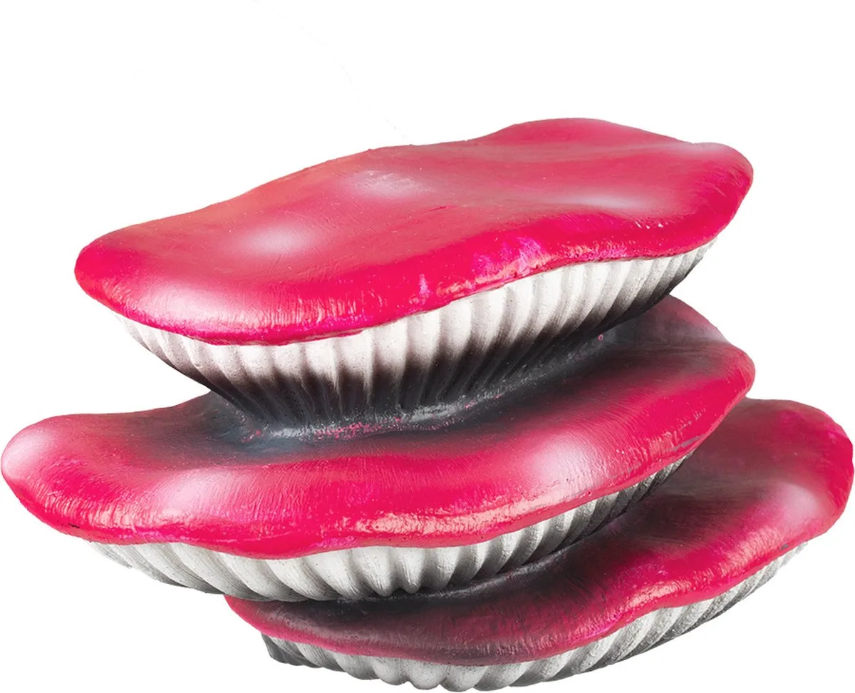 Reptielen - Floating Deco Zwammen 17,5x8,5x9,5cm - 162483 de Terra Della en Rose – photo produit