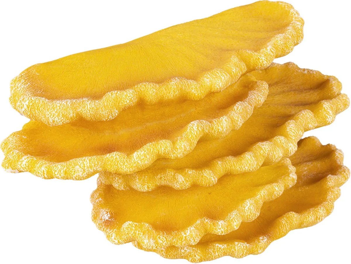 Reptielen - Floating Deco Zwammen 18,5x8,5x10cm - 162481 de Terra Della en Jaune – photo produit