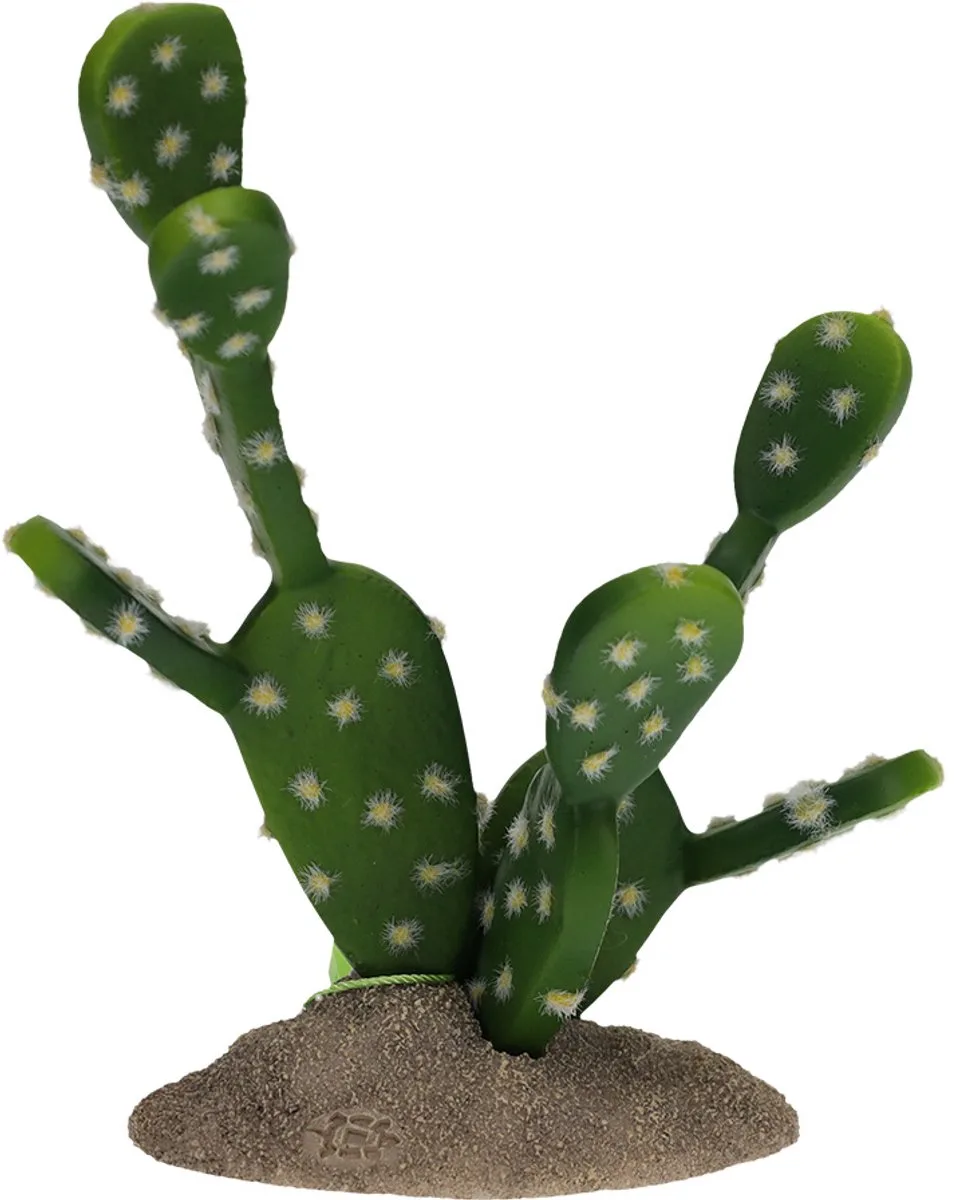 Reptielen - Vijgencactus 15,5x9x16,5cm - 162503 de Terra Della en Vert – photo produit