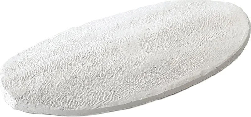 Reptielenvoer - Reptielen - Calcium Bone Sepia 2st - 11cm Wit - 2st de Terra Della – photo produit