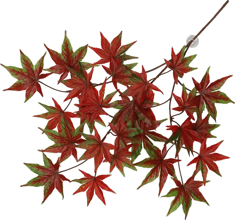 Terrariumplant - Reptielen - Hangende Cannabis 65x40x5cm - 1st von Terra Della in Rot – Produktfoto