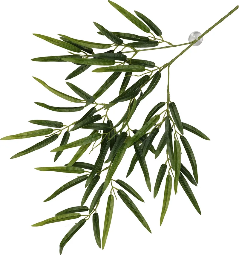 Terrariumplant - Reptielen - Hangende Plant Bamboe 65x35x4cm - 1st by Terra Della in Green – product photo