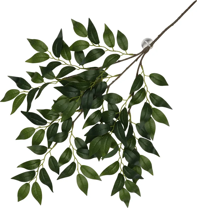 Terrariumplant - Reptielen - Hangende Plant Banyan 62x32x3cm - 1st von Terra Della in Grün – Produktfoto