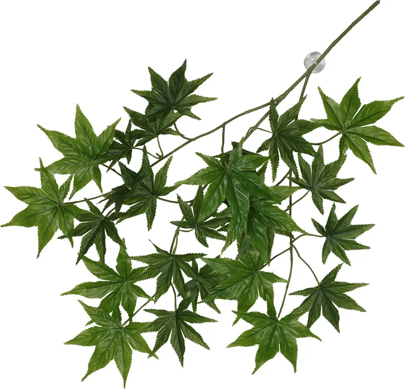 Terrariumplant - Reptielen - Hangende Plant Cannabis 65x40x5cm - 1st von Terra Della in Grün – Produktfoto