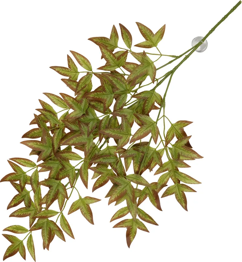Terrariumplant - Reptielen - Hangende Plant Nandina 65x35x1,5cm - 1st de Terra Della en Vert – photo produit