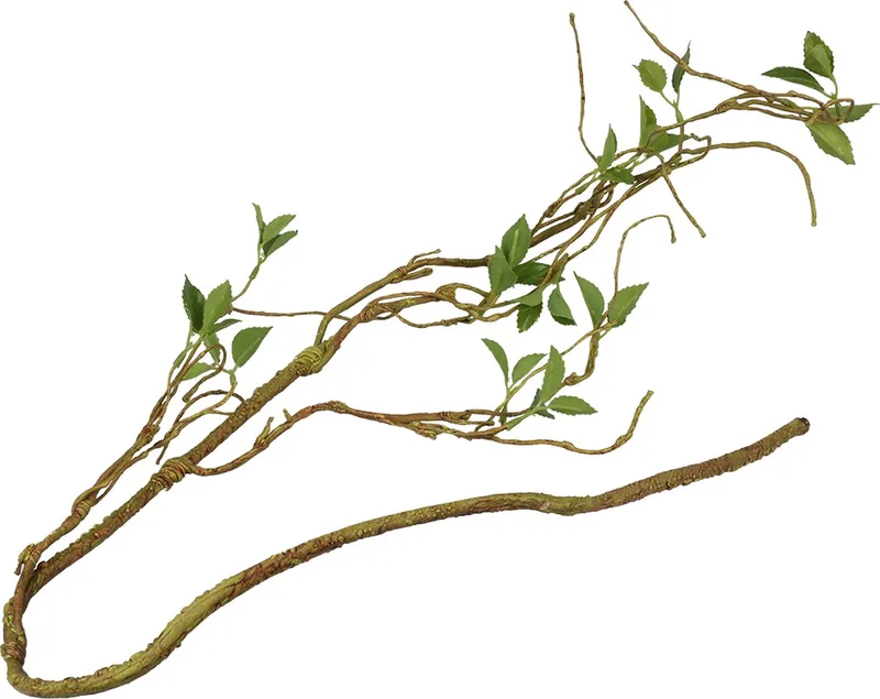 Terrariumplant - Reptielen - Plantentak Dun 130cm - 1st by Terra Della in Green – product photo