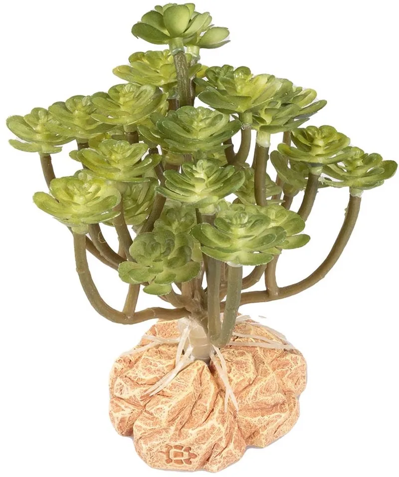 Woestijnplant Aeonium | terrarium kunstplant met harsvoet | 14 cm by Terra Della in Green – product photo
