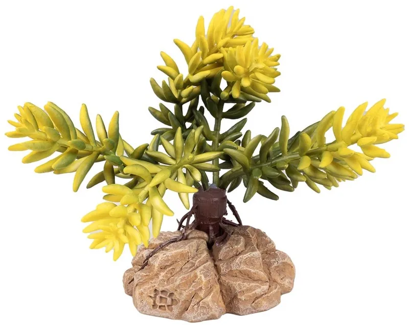 Woestijnplant Sedum morganianum | natuurgetrouwe terrarium kunstplant van kunststof by Terra Della in Green – product photo