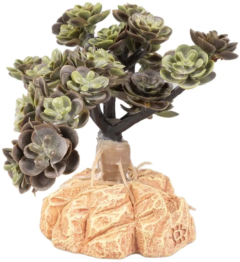 Woestijnplant Sedum spurium | 15x11x10 cm | terrarium kunstplant by Terra Della in Green – product photo