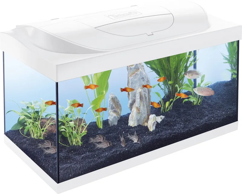 aquarium Starter Line 54 liter 61 x 35 x 31 cm by Tetra in White – product photo