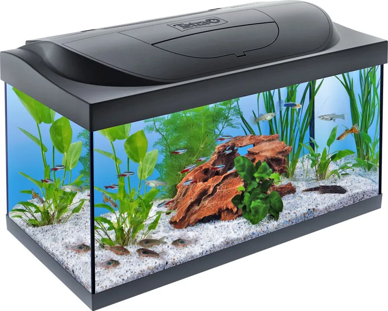 aquarium starter line - LED - 54L - 61x36x31cm by Tetra in Black – product photo