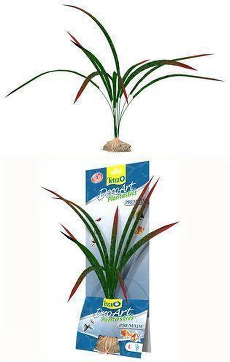 Aquariumplanten Tetra plant dragonfly l 35cm de Tetra en Vert – photo produit