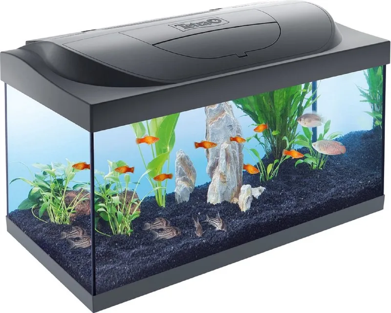 Starter Line Aquarium - Led - 54 Liter - Incl. Filter en Verwarming by Tetra in Black – product photo