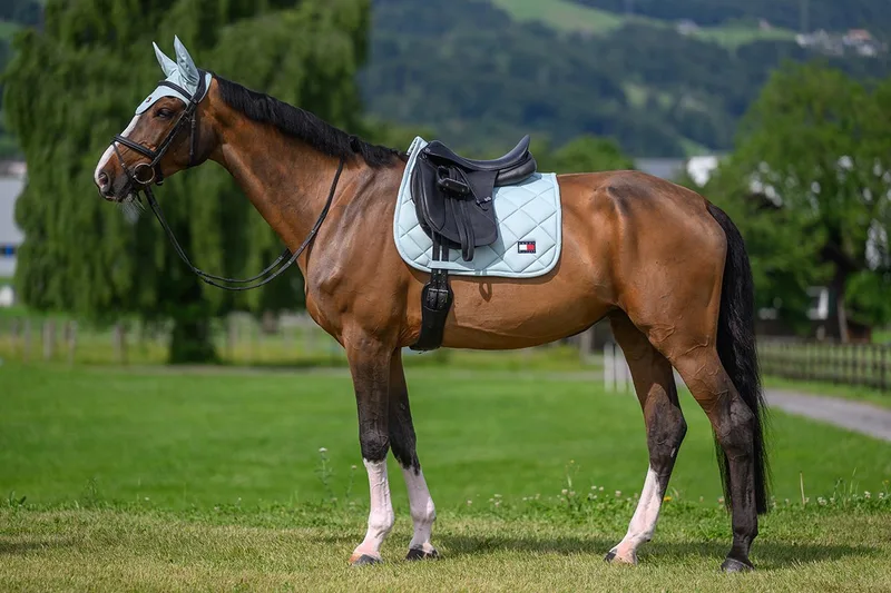 Zadeldek Tommy Hilfiger Columbia Dressuur by Tommy Hilfiger Equestrian in Light green – product photo