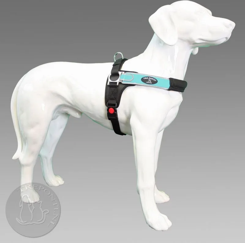 Forza Tuig Maat M Blauw&Reflecterend - Borstomtrek 50 - 65 cm de Tre Ponti en Bleu – photo produit