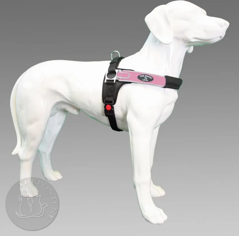 Tuig Maat XL Roos&Reflecterend - Hondentuig - Borstomtrek 80 - 100 cm fra Tre Ponti i Roos – produktbillede