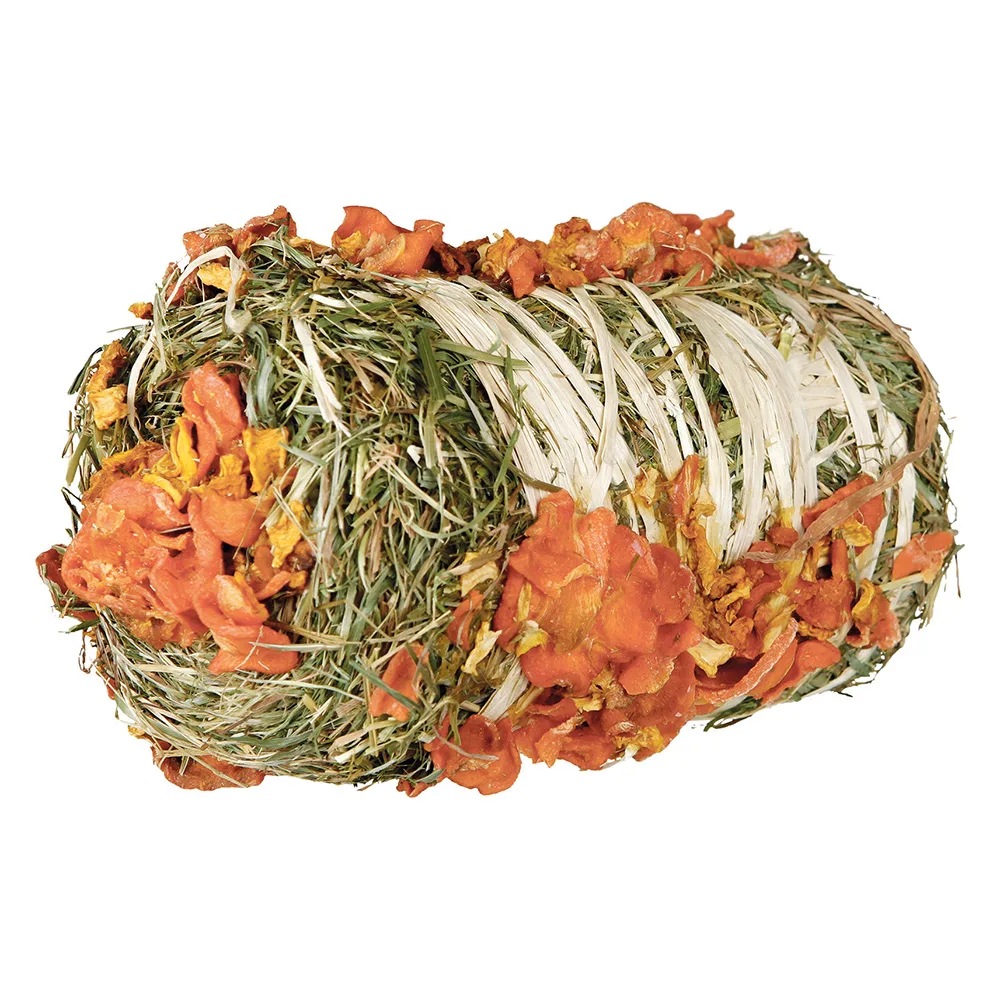 200g Trixie Hooi Baal met Pompoen en Wortel Kleine Dierensnack by Trixie – product photo