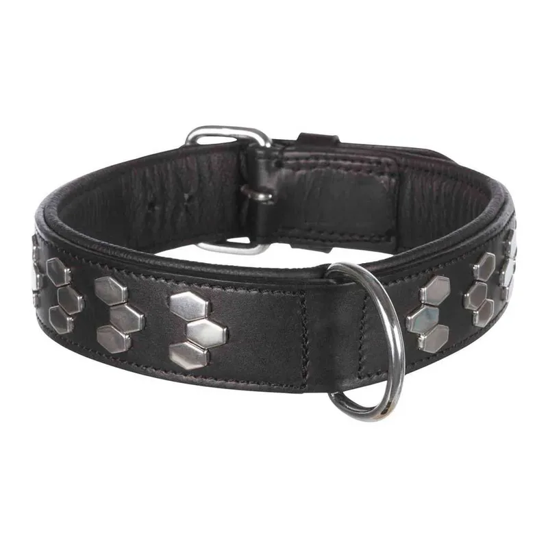 Active Rivets 40 Mm Hondenhalsband by Trixie – product photo