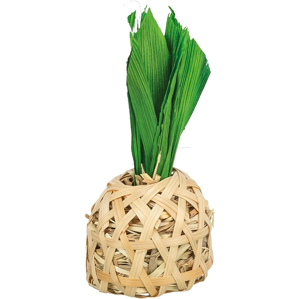 Ananas Knaagdier Huis van Trixie – productfoto