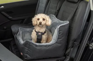 Autostoel voor Honden - 50 x 50 x 40 cm - Grijs fra Trixie i Sort – produktbillede 4 af 5