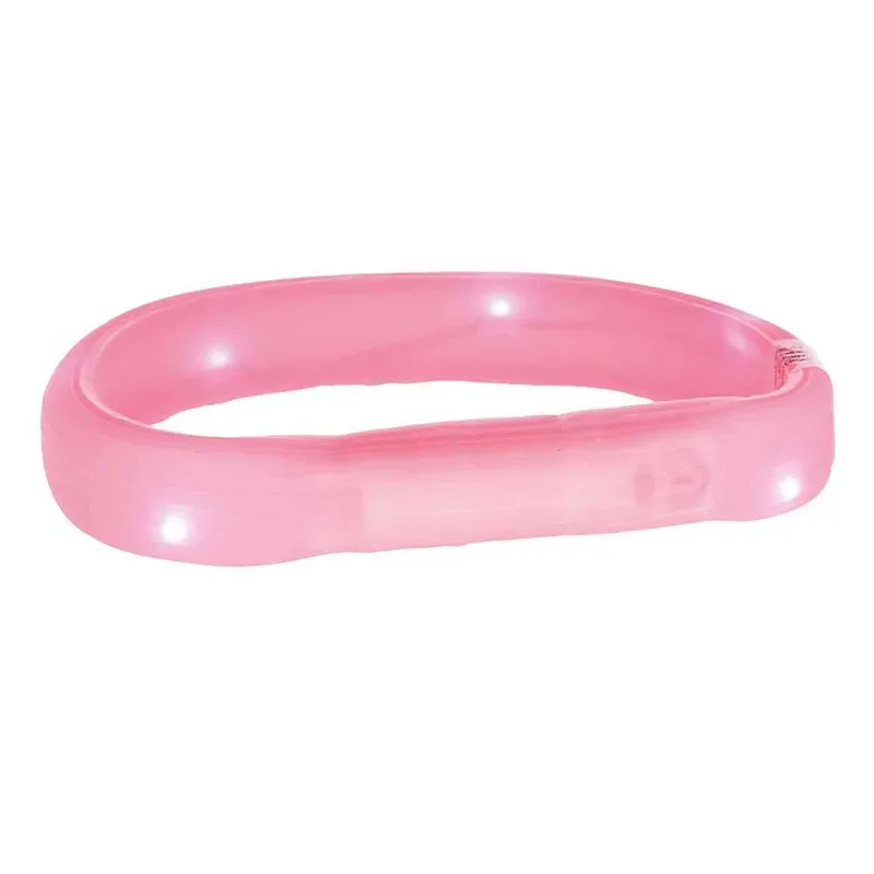 Band With Light Usb Flash Hondenhalsband by Trixie – product photo