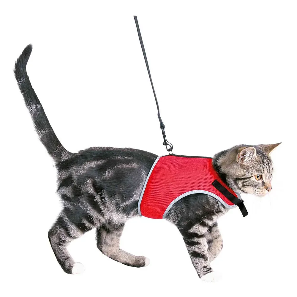 Collier De Chat Soft Assorti von Trixie – Produktfoto