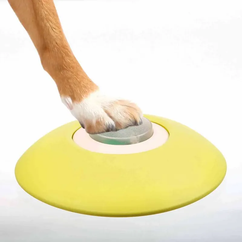 Dog Activity Memory Trainer - Honden Speelgoed Intelligentie - 20 x 24 cm von Trixie in Blau – Produktfoto 3 von 5