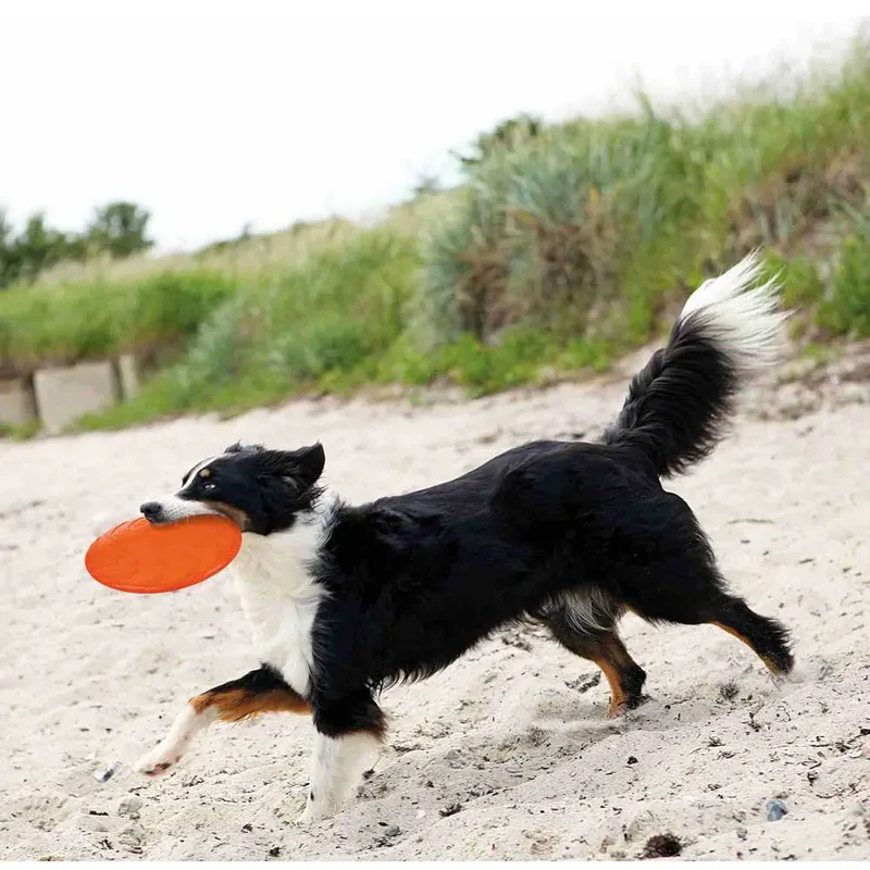 Frisbee Voor Honden Geassorteerd by Trixie – product photo 4 of 4
