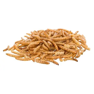 Gedroogde Meelwormen Snack von Trixie – Produktfoto 1 von 2