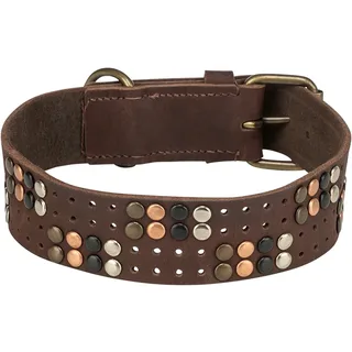 Halsband Hond - Rivet Rustic - Vetleer - S-M - 34-40X3 CM by Trixie in Donkerbruin – product photo 3 of 3