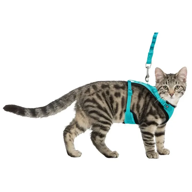 Kattentuig Mesh Y-Vorm Met Elastische Riem Assorti van Trixie – productfoto 2 van 2
