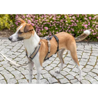 Harnais Pour Chien 13085 Adaptador Antipanico de Trixie – photo produit 6 sur 6