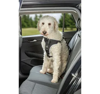 Harnais Pour Chien Dog Protect Safety 20 Mm von Trixie – Produktfoto 5 von 5