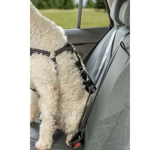 Harnais Pour Chien Dog Protect Safety 20 Mm von Trixie – Produktfoto 4 von 5