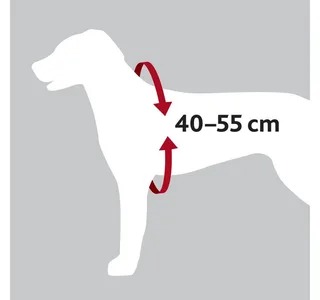 Harnais Pour Chien Dog Protect Safety 20 Mm von Trixie – Produktfoto 2 von 5
